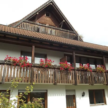 Bergseeblick 3* Titisee-Neustadt