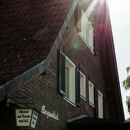 Bergseeblick